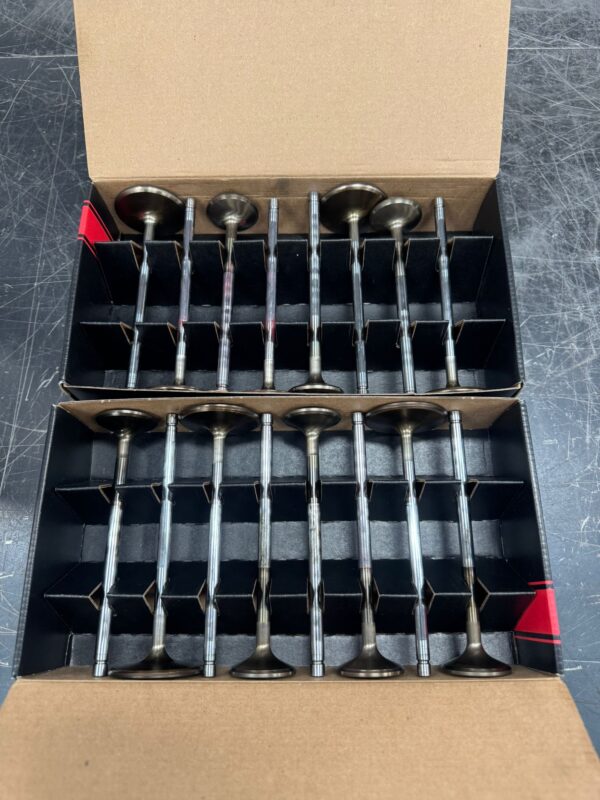 Brodix Sbc Heads (valves)